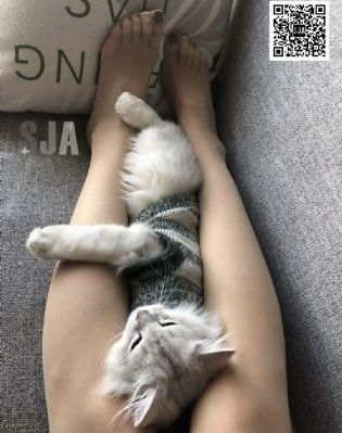 怪物转生 动漫_1080P完整视频观看